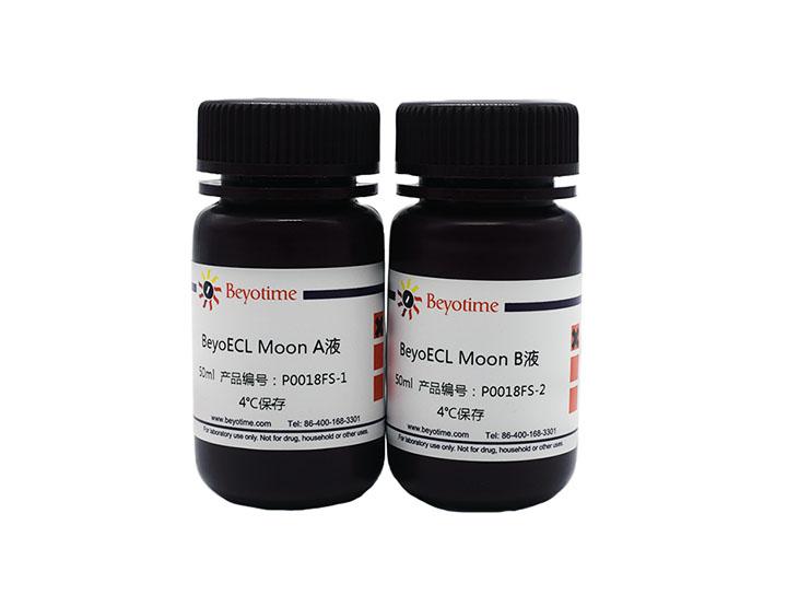 BeyoECL Moon (极超敏ECL化学发光试剂盒)